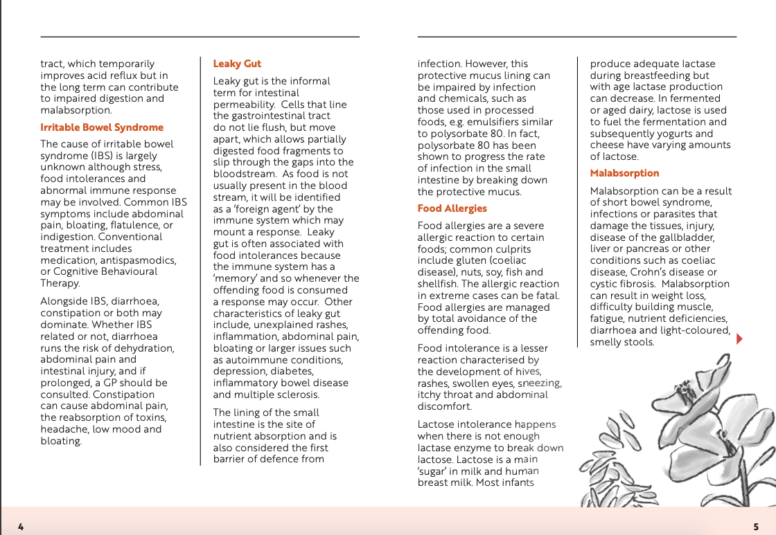 Viridian Ruoansulatuksen tuki (Digestive Aid)