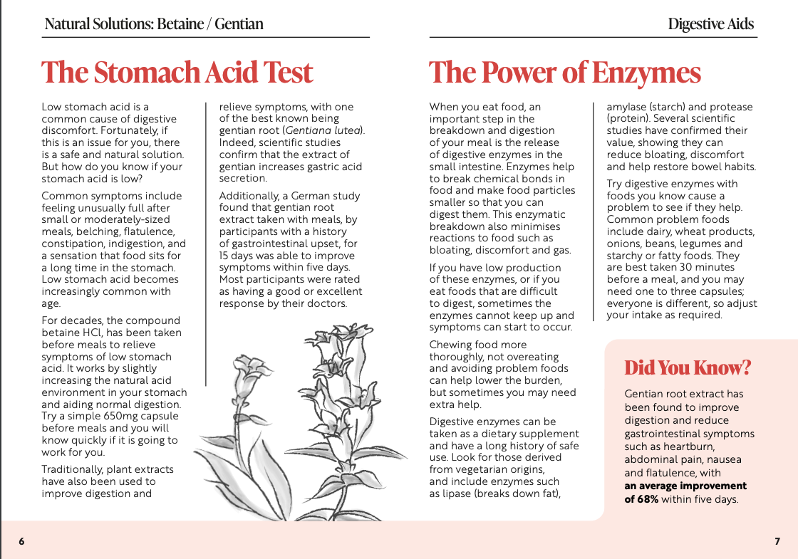 Viridian Ruoansulatuksen tuki (Digestive Aid)