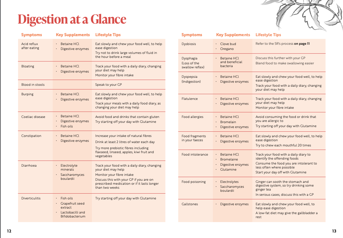 Viridian Ruoansulatuksen tuki (Digestive Aid)