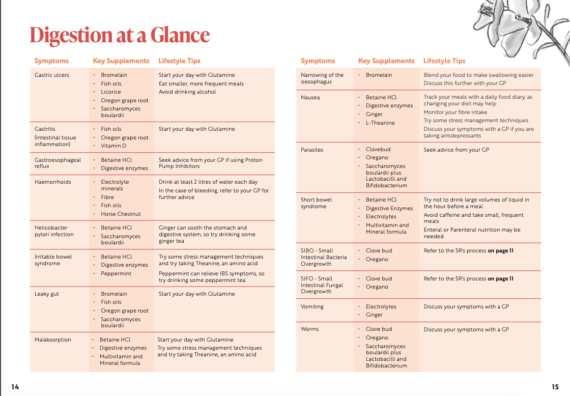 Viridian Ruoansulatuksen tuki (Digestive Aid)
