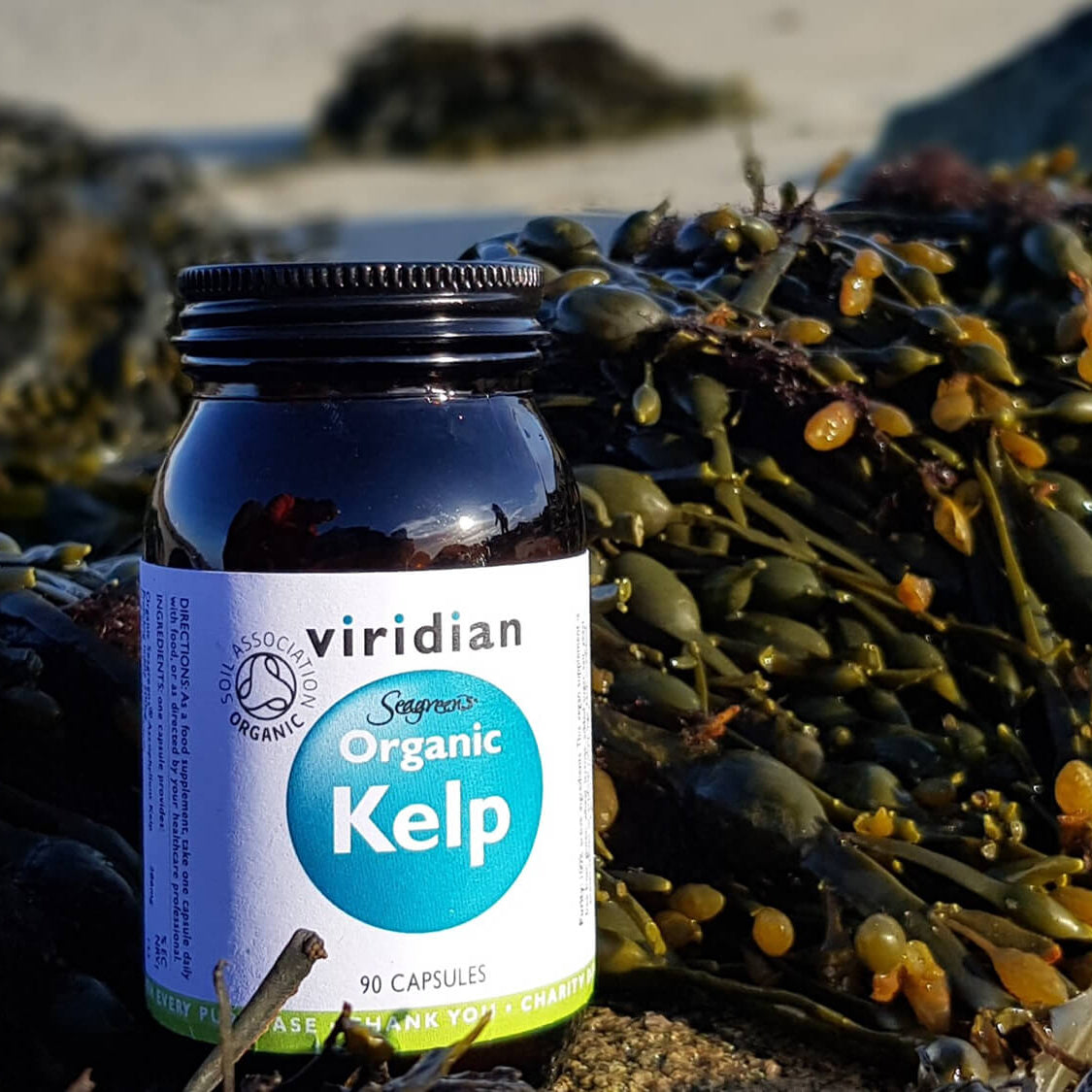 Viridian Luomu Kelp merilevä 90 kaps