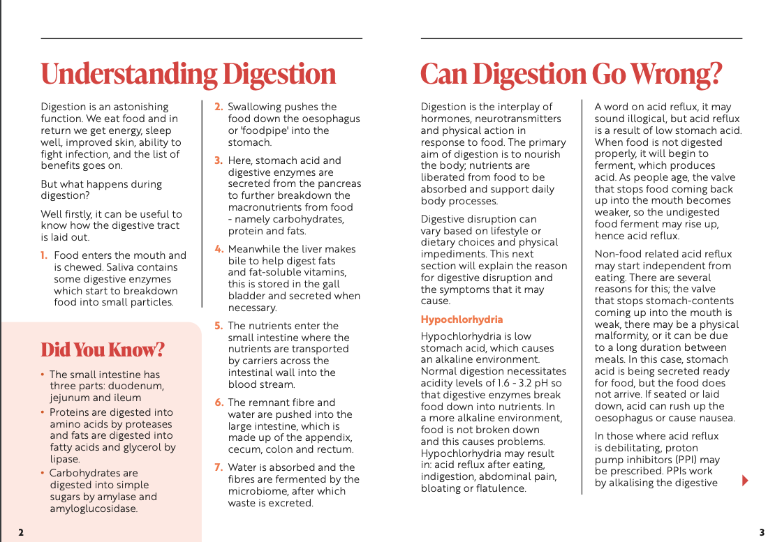 Viridian Ruoansulatuksen tuki (Digestive Aid)