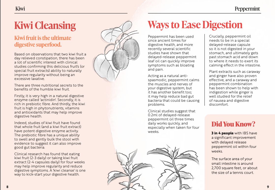 Viridian Ruoansulatuksen tuki (Digestive Aid)